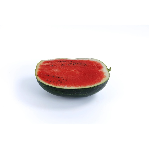 MERENS RZ F1 product photo view-2 L