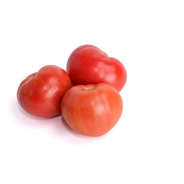 Масумі RZ F1 product photo view-2 L