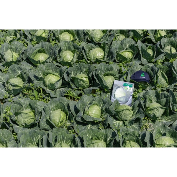 Феліссіма RZ F1 product photo view-4 L