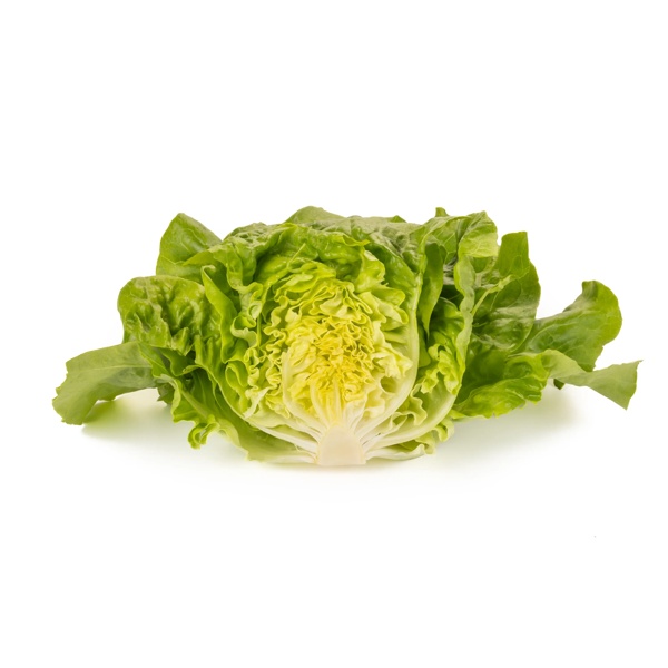 ABELLINA RZ product photo view-2 L