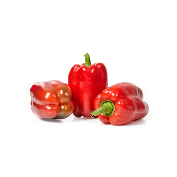 SPINEL RZ F1 product photo view-2 L