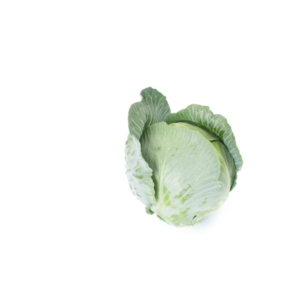 AXIOMA F1 (30-715) product photo front L