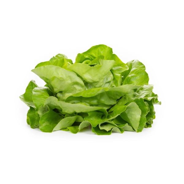 ELICIO RZ (43-BU7206) product photo view-3 L