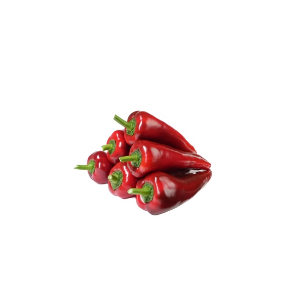 DORISA RZ F1  product photo view-2 L