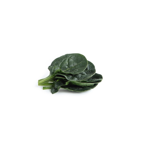 TIMBERWOLF RZ F1 (51-SL382) product photo front L