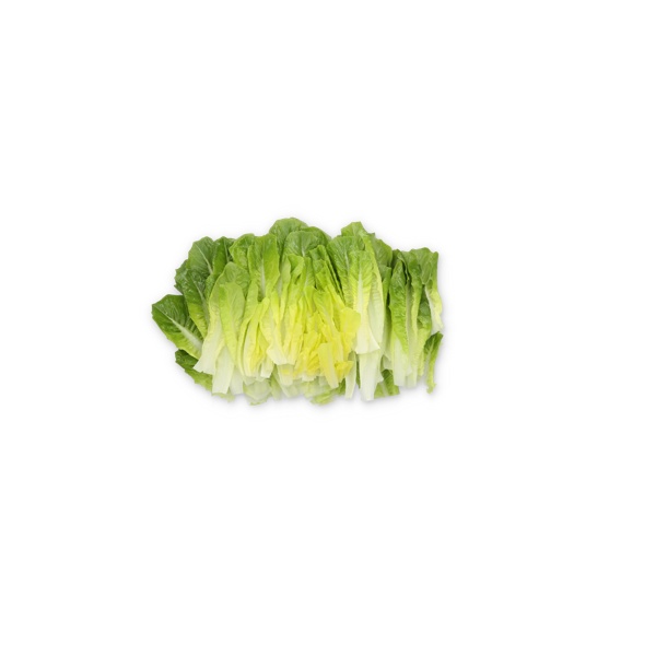 KOBUKA RZ  product photo view-4 L