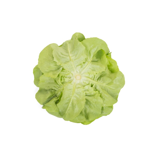 WALHA RZ product photo view-3 L