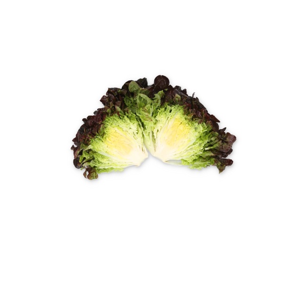 COLAI RZ product photo view-2 L