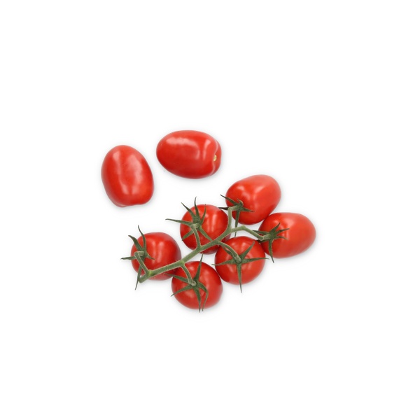 72-PL0501 Tulemalu product photo view-2 L