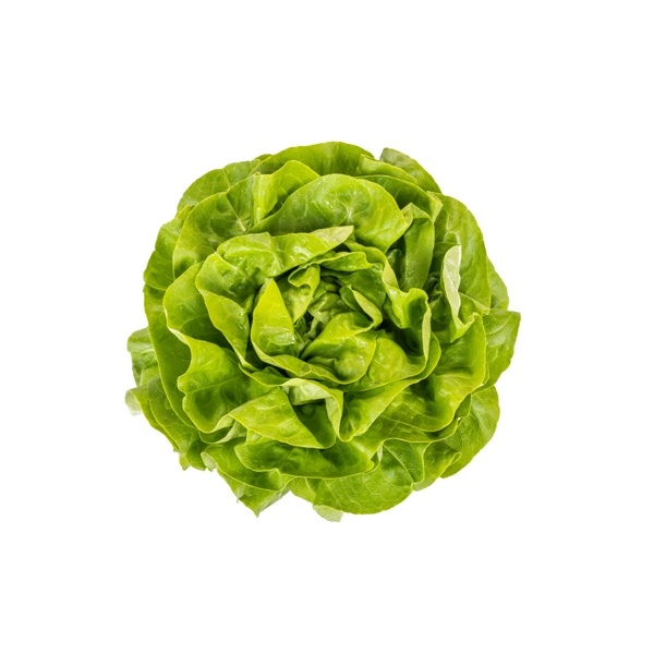 DANUBIA (42-BU6965) Produktbild view-2 L