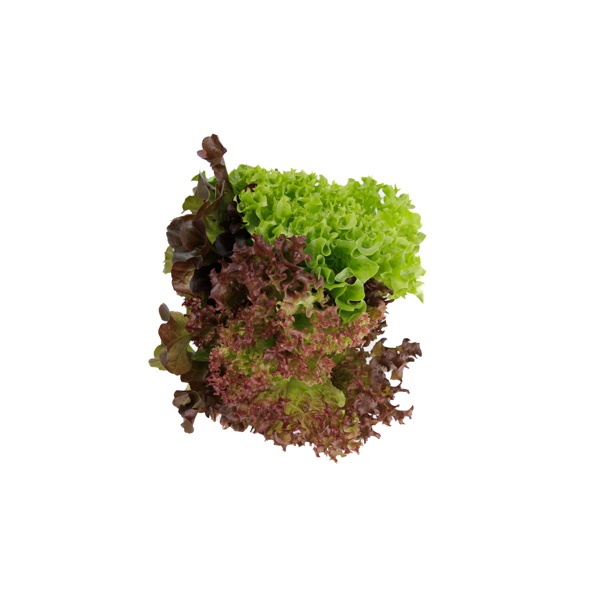 Salatriomix 5 (3x5tpc) product photo front L