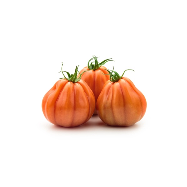 ARALDINO RZ F1 product photo view-4 L