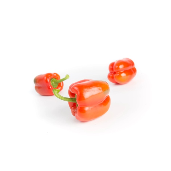 KATELA RZ F1 (35-179) product photo view-2 L