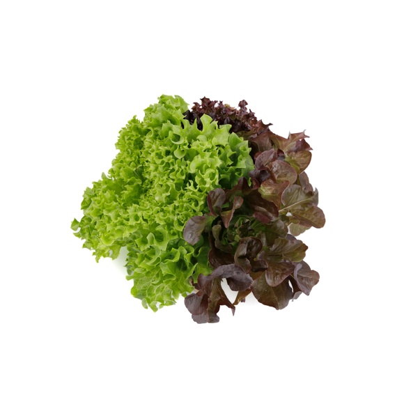 Salatriomix 2 (3x25tpc) product photo front L