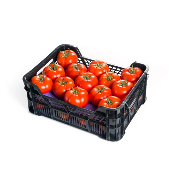 ALZEN RZ product photo view-2 L