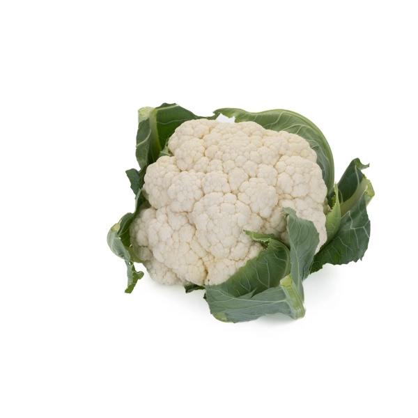 CASSARD RZ F1 product photo view-2 L
