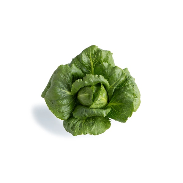 CALESITA RZ (41-CR1402) product photo view-4 L