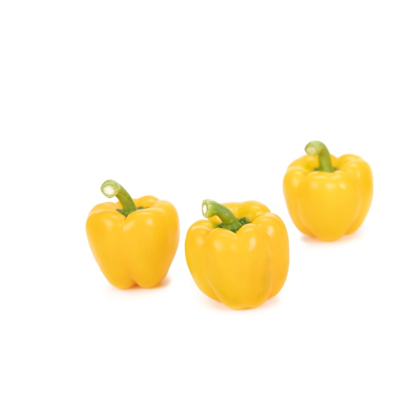 모르비델리 MEDITATION RZ F1 product photo view-3 L
