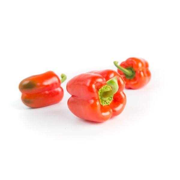 KATELA RZ F1 (35-179) product photo front L