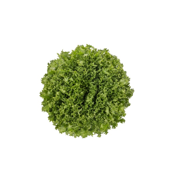 SINTINAL RZ (11-FR1906) product photo front L