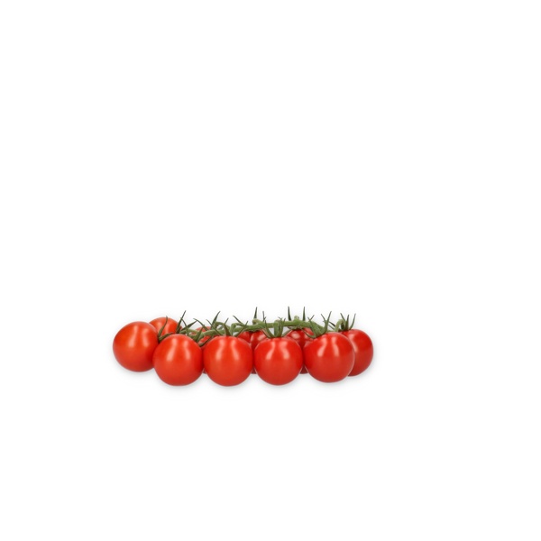 VALERIOSO RZ F1 product photo view-2 L