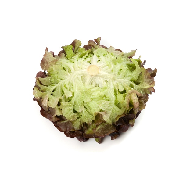 PRUNAÏ RZ product photo view-2 L