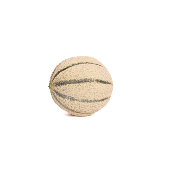 ARGONIS RZ F1 (34-IE5026) product photo front L