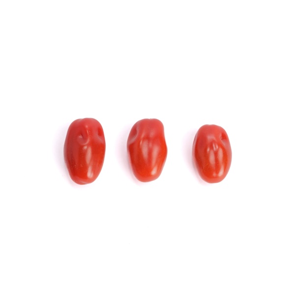 LAURENCETTO RZ F1 product photo view-3 L