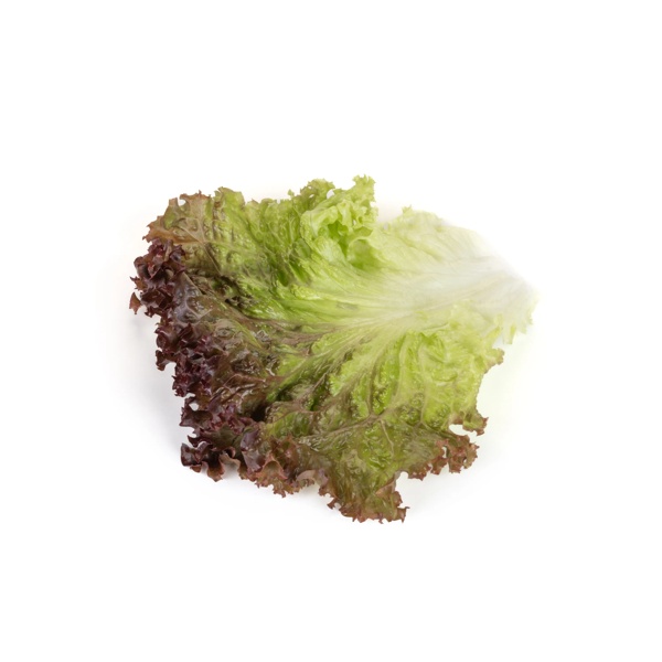 BARTAL RZ  product photo view-3 L