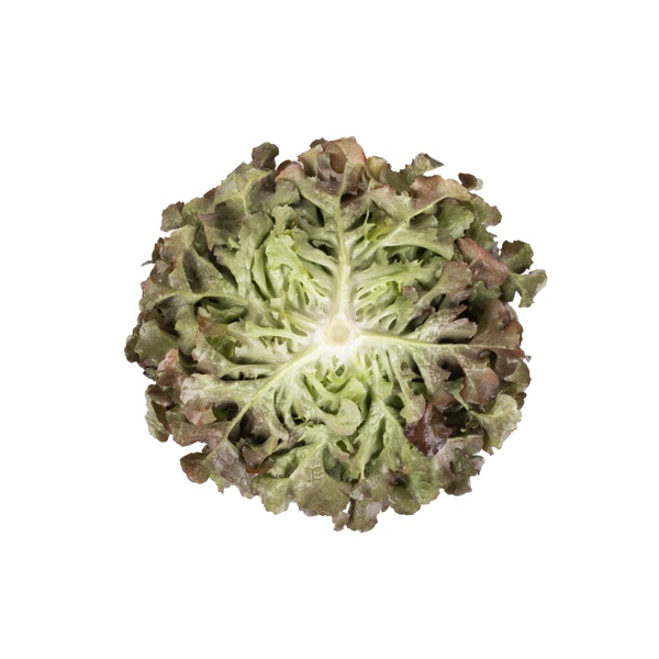 BALAKAI (83-OA5181) Produktbild view-3 L