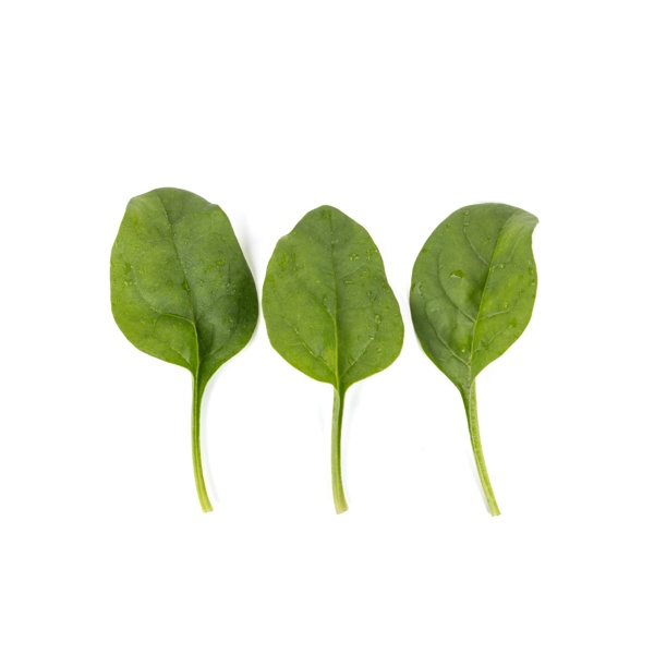 BOOMSLANG F1 (51-SE741) Produktbild view-3 L