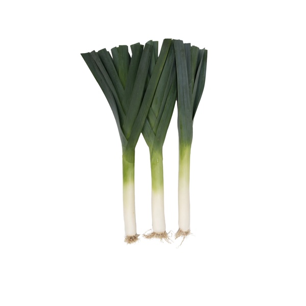 NEBULUS F1 (38-LE006) product photo front L