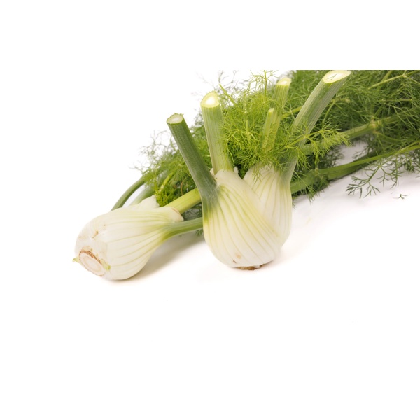 GRECALE RZ F1 product photo view-2 L