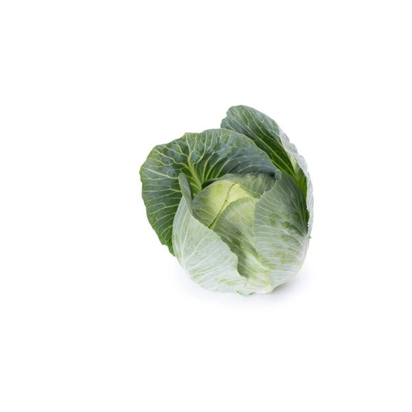 FLEXIMA F1 (30-295) Produktbild front L