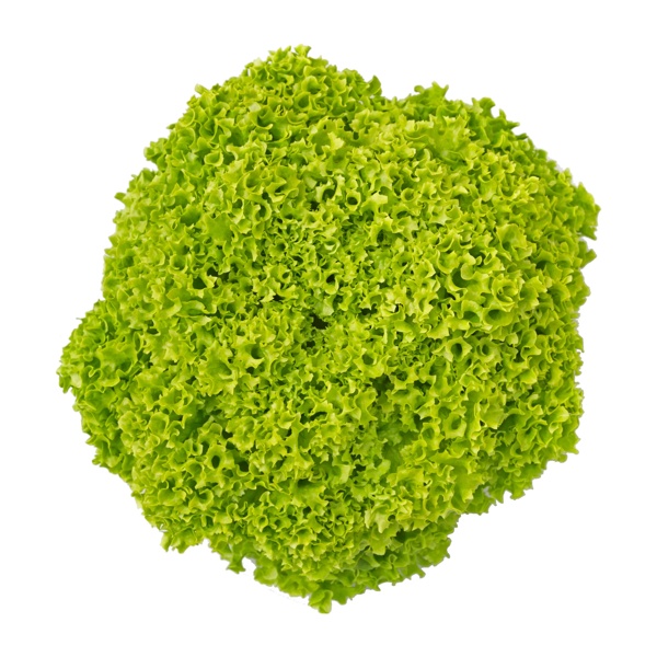 LIMEIRA RZ product photo front L
