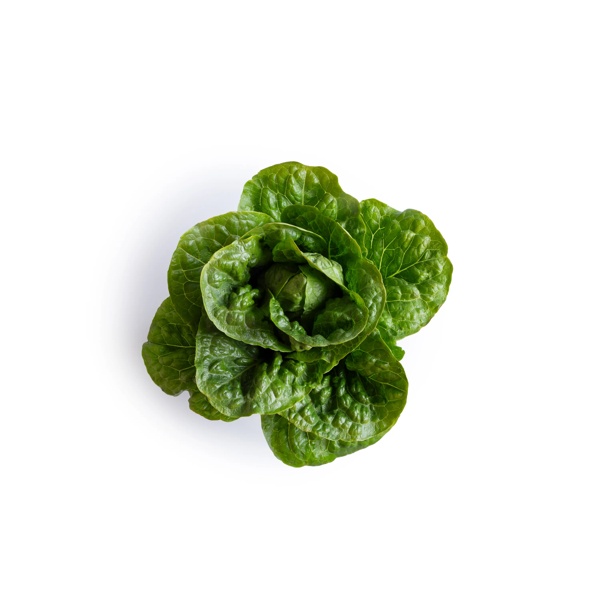 CAICEDO RZ (41-CO2151) Knox™ product photo view-2 L