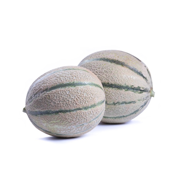 PANIOL RZ  product photo view-2 L