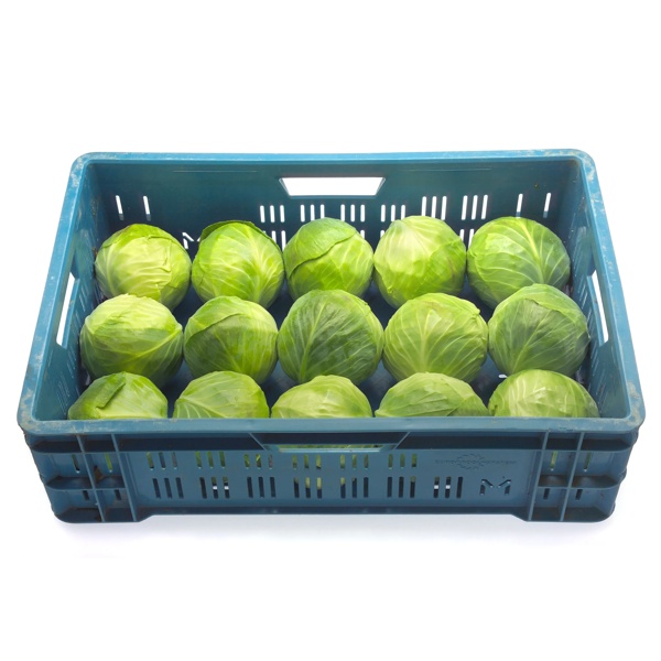 TOUGHMA RZ F1 product photo view-4 L