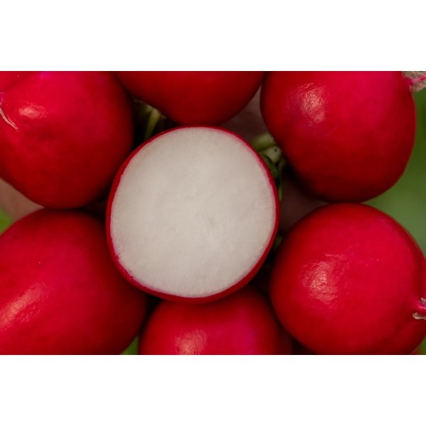 Міллом RZ F1  product photo view-5 L