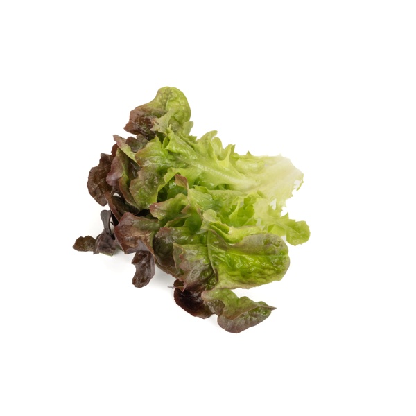 BALAKAI (83-OA5181) Produktbild view-4 L