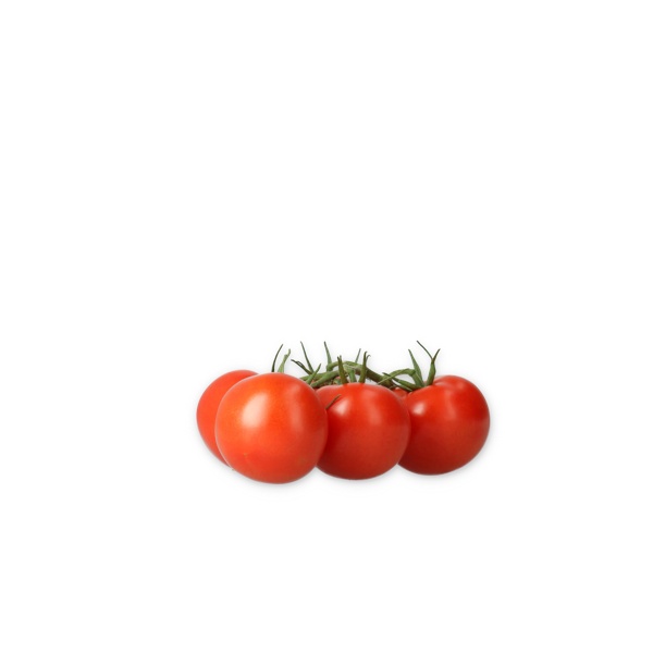 MONDICIA F1 (72-IM6752) Produktbild view-2 L