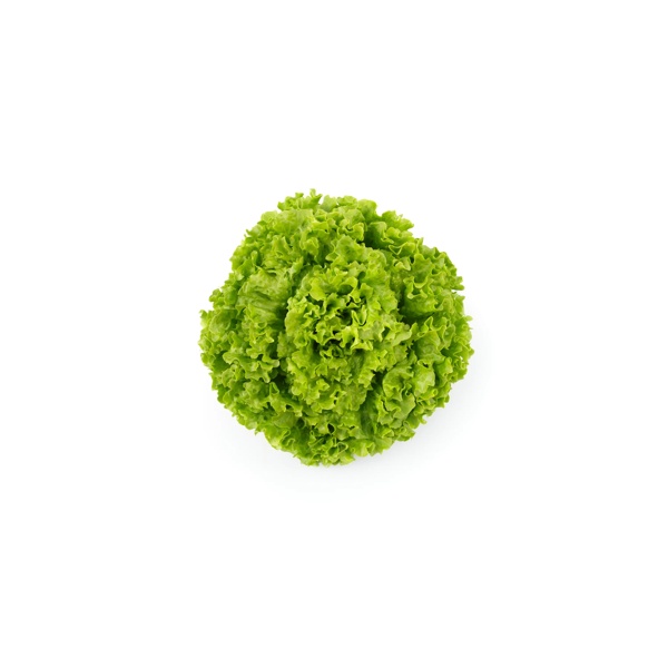 OLMETIE RZ product photo front L