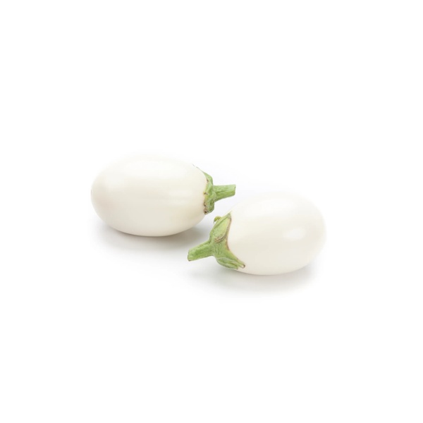 BLANCHETTE RZ F1 (10-951) product photo view-2 L
