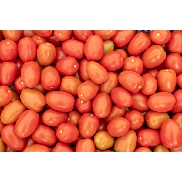 TULEMALU RZ F1 (72-PL0501) product photo view-3 L