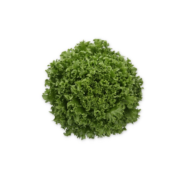 CRYSTIQUE RZ (44-CL1573) Knox™ product photo front L