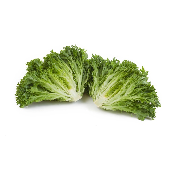 Salanova® EXPERTISE RZ (79-27) - Lettuce | Rijk Zwaan