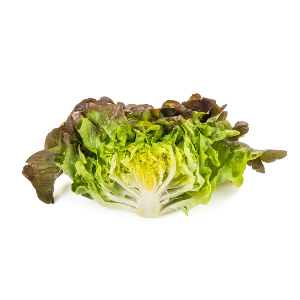 CALIBAI RZ  product photo view-3 L