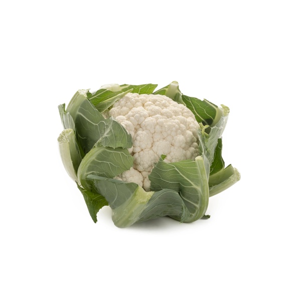 CASSARD RZ F1 product photo view-2 L