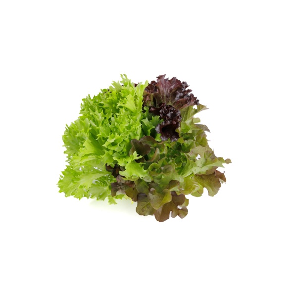 Salatriomix 3 (3x5tpc) product photo front L