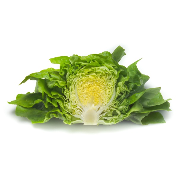 FAUSTINA RZ (43-38) product photo view-2 L